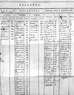 Liste des esclaves d'une plantation antillaise.