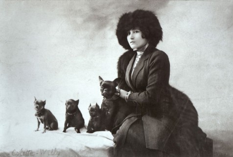 Colette