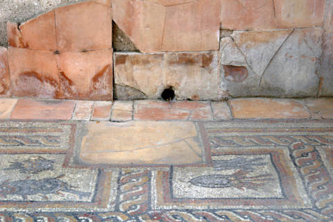 Fouilles de Montcaret
