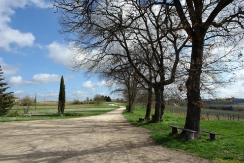 Villa gallo-romaine de Séviac