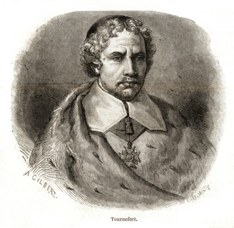 Joseph Pitton de Tournefort