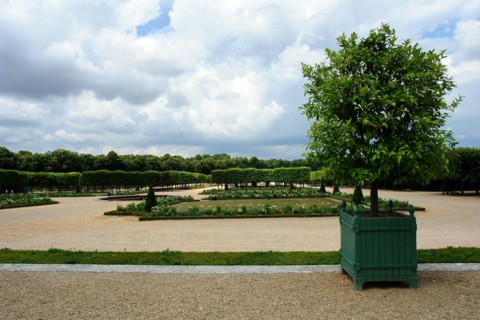 Palace of Versailles.