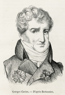 Georges Cuvier