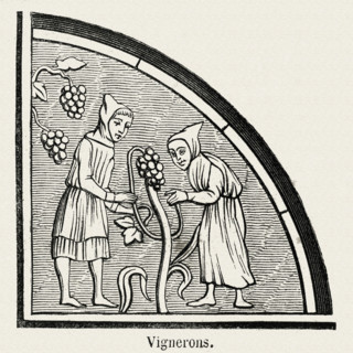 Winemakers.