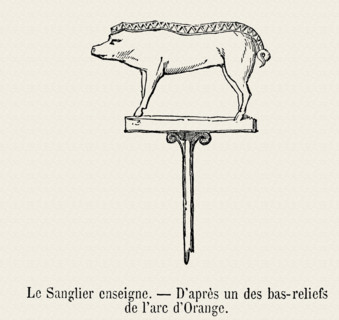 Wild boar.
