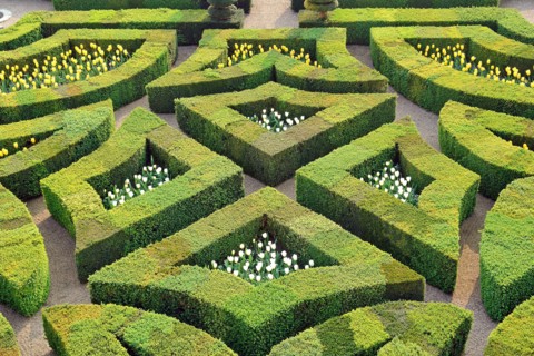 Château de Villandry.