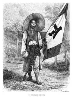 Armée du Tonkin. Un régulier chinois.