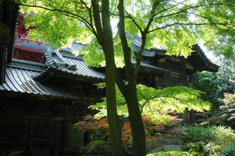 Chinese Pavillion