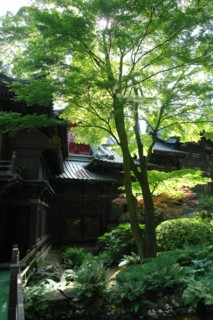 The Chinese Pavillion
