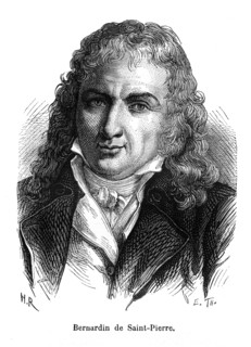 Bernadin of Saint Peter
