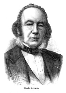 Bernard