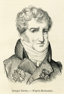George Cuvier