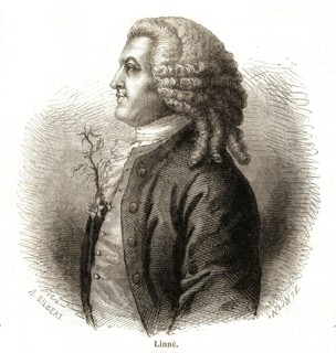 1864. Carl Linnaeus, qui portera le nom de Carl von Linné après avoir été anobli, (né le 23 mai