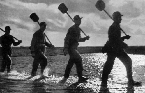 Adolf Hitler. Arbeitsdienst bei Landgewinnungsarbeit. Le service du travail se mobilise pour gagner