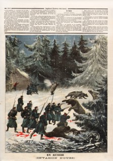 Bear Invasion