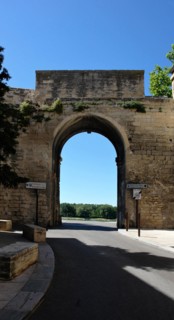 Avignon