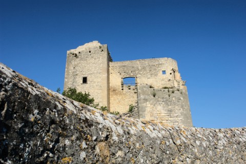 Castle of Vaison la Romaine