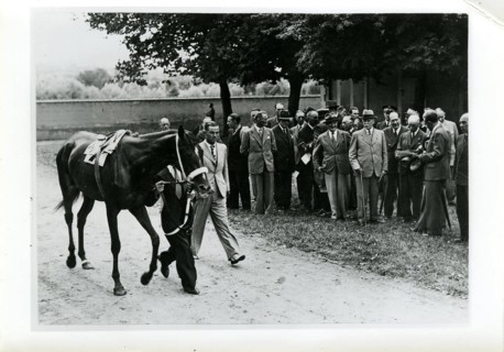 Petain attending the Grand Prix de Vichy, 1941