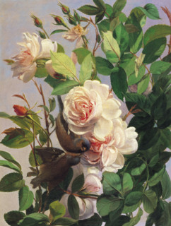 Balsgaard, Roucoulade