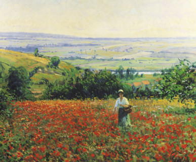 Giran-Max, Champ de Coquelicots
