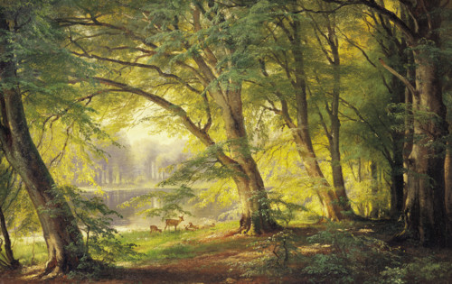 Aagaard, Clairière au Milieu de la Forêt