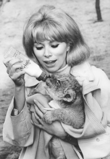 Mireille Darc