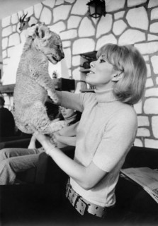 Mireille Darc
