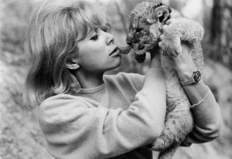 Mireille Darc