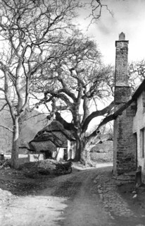 Cottages at Bossington, Somerset, c1900