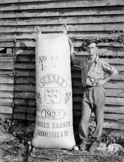 Man with hop sack at Great Dixter, East Sussex, 1933