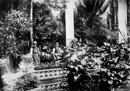 Gardeners in the Conservatory, Castle Ashby, Northamptonshire, 1889