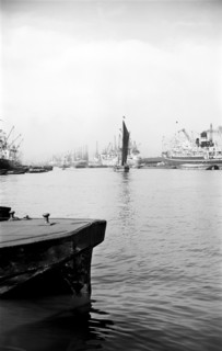 Shipping in the Royal Albert Dock, Canning Town, London, c1945-c1965