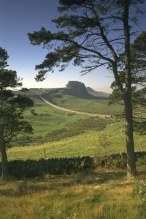 Hadrian's Wall, Northumberland, 1994