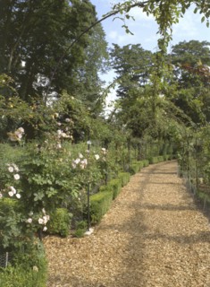 The rose garden, Brodsworth Hall, South Yorkshire, 1999