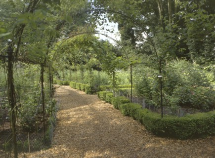 The pergola at Brodsworth Hall, South Yorkshire, 1999