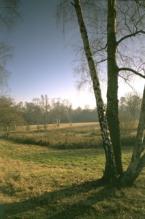 The West Meadow, Kenwood House, Hampstead, London, 1997