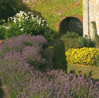The gardens at Walmer Castle, Deal, Kent, 1996