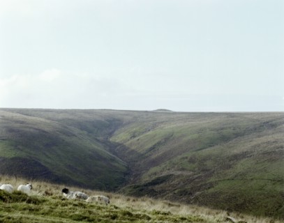 Wood Barrow, Exmoor, Somerset, 1999
