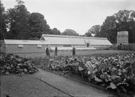 Greenhouses and kitchen garden at Notley Abbey House, Long Crendon, Buckinghamshire, 1904