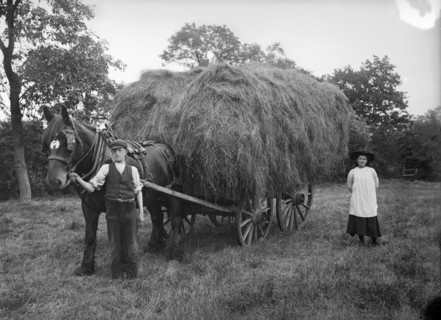 A hay waggon near Hellidon, Northamptonshire, c1896-c1920