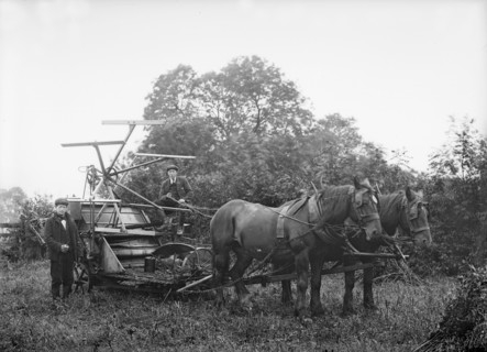 Harvesting machine, Hellidon, Northamptonshire, c1896-c1920