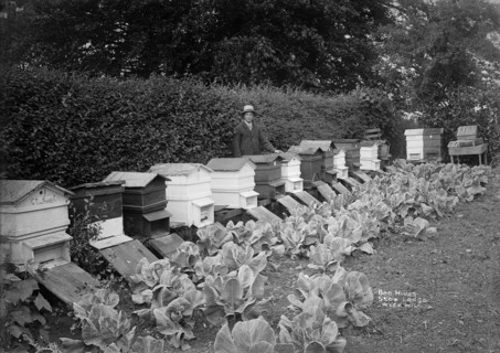 The garden of Stow Lodge, Wyck Hill, Wick Rissington, Gloucestershire, 1908