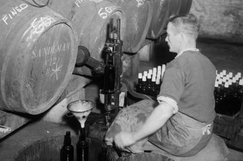 Port wine being bottled from the barrel at the Cutler Street warehouses, London, c1945-c1965