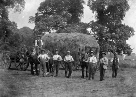 A haycart with haymakers and horses, c1860-c1922