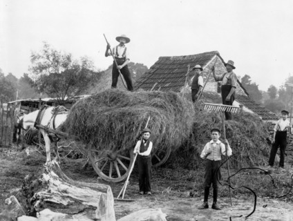 Men and boys with tools and a haycart, c1860-c1922