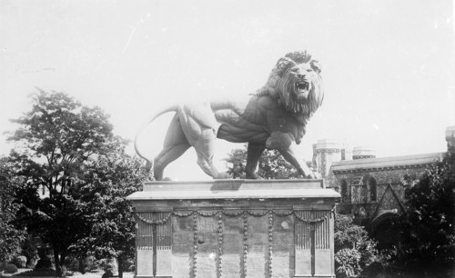 Lion sculpture on the Maiwand memorial in Forbury Gardens, Reading, Berkshire, c1860-c1922. Creator: Henry Taunt.