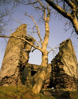 The keep with trees, Longtown Castle, Herefordshire, 1992