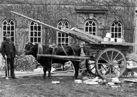 Workman posing outside a house with a bullock cart, Kingston Lisle, Oxfordshire, c1860-c1922