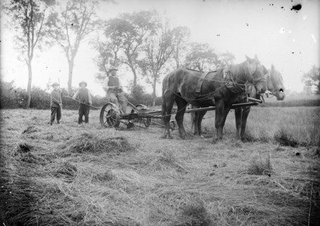 A horse drawn cross-cut mower in action near Hellidon, Northamptonshire, c1873-c1923