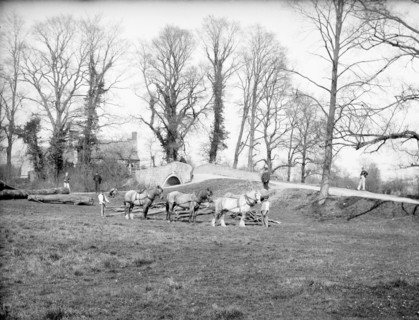 Men and horses, Godstow Bridge, Oxford, Oxfordshire, 1880